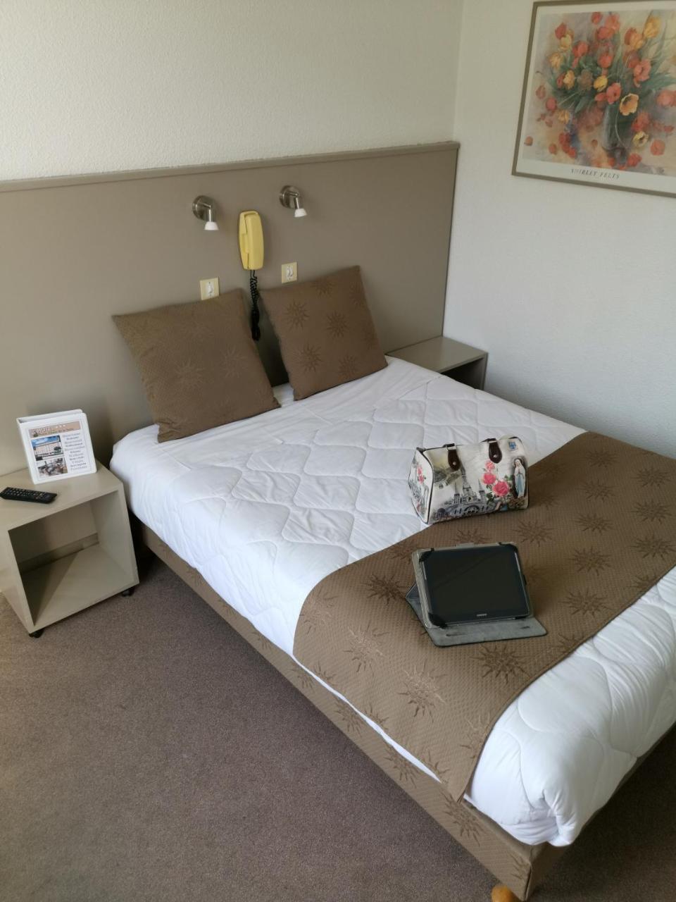 Adonis - Notre Dame De La Sarte Hotel Lourdes